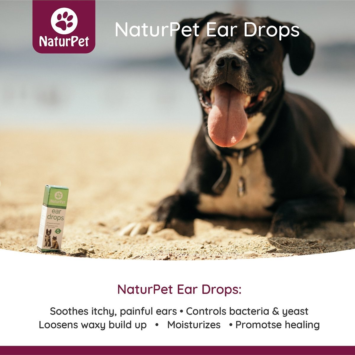 NaturPet Ear Drops Natural Remedy for Ear Infections for Dogs and Cats