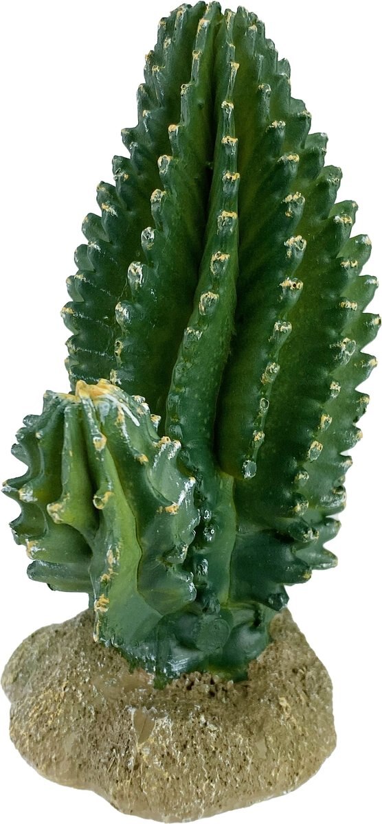 Komodo Cactus Columnar Reptile Ornament， Green