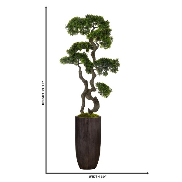 59.25 bonsai tree in Resin Planter