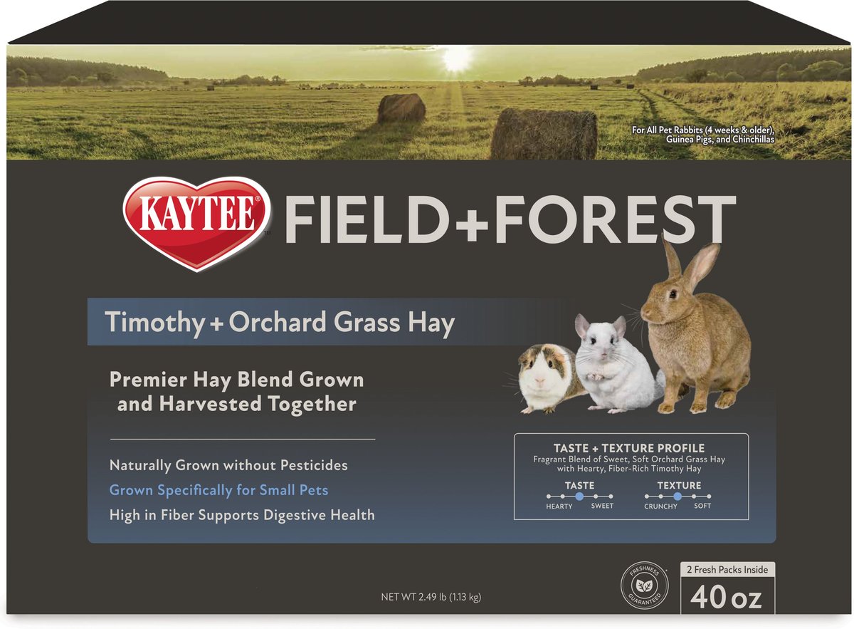 Field+Forest by Kaytee Timothy and Orchard Grass Small Pet Hay