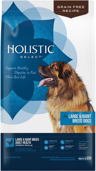 Holistic Select Large and Giant Breed Chicken Meal and Lentils Natural Grain-Free Dry Dog Food