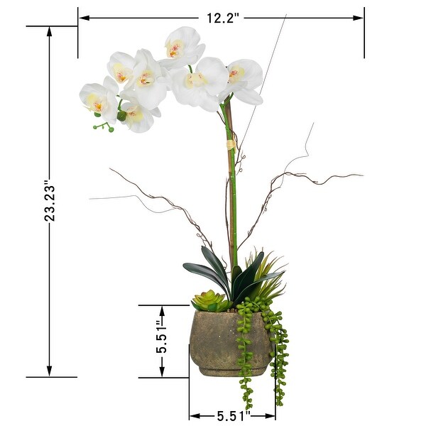 Singlestem Artificial Real Touch Silk Orchid with Succulents in Grey Cement Pot