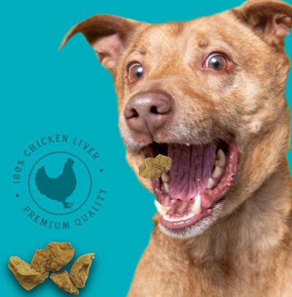 Stewart Chicken Liver Freeze-Dried Raw Dog Treats