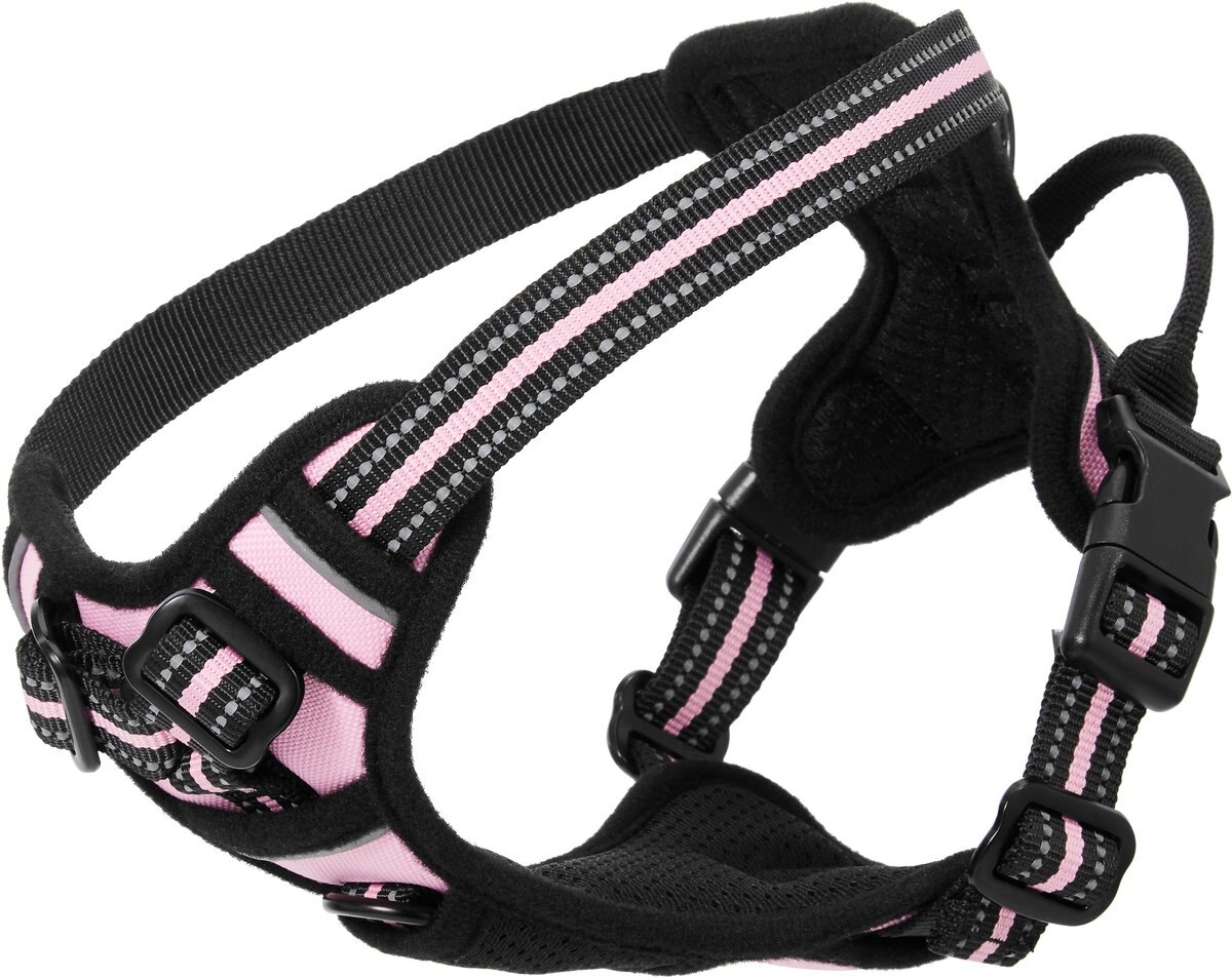 Frisco Padded Reflective Harness