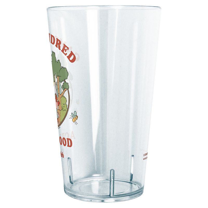 Disney's Winnie The Pooh Camp Hundred Acre Wood Est. 1966 24 oz. Tritan Tumbler