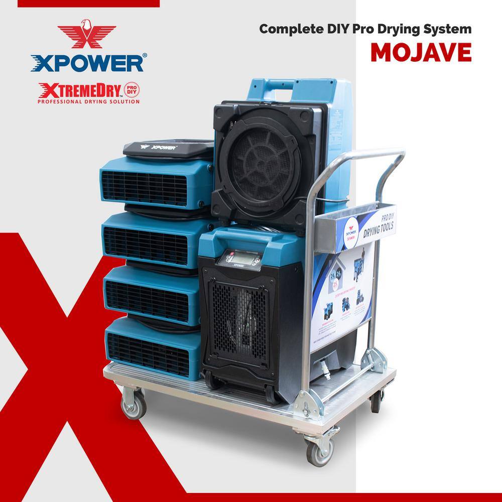 XPOWER 145-Pint LGR Dehumidifier with XTREMEDRY Mojave DIY Pro Drying Solution xdp1