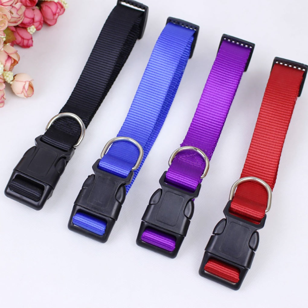 Solid Color Personalized Pet Leash Anti\-Lost/Avoid Car For Small Medium Large Dogs Supplies Pet Products