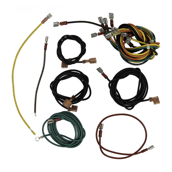 Raypak 004008F Wire Harness Iid