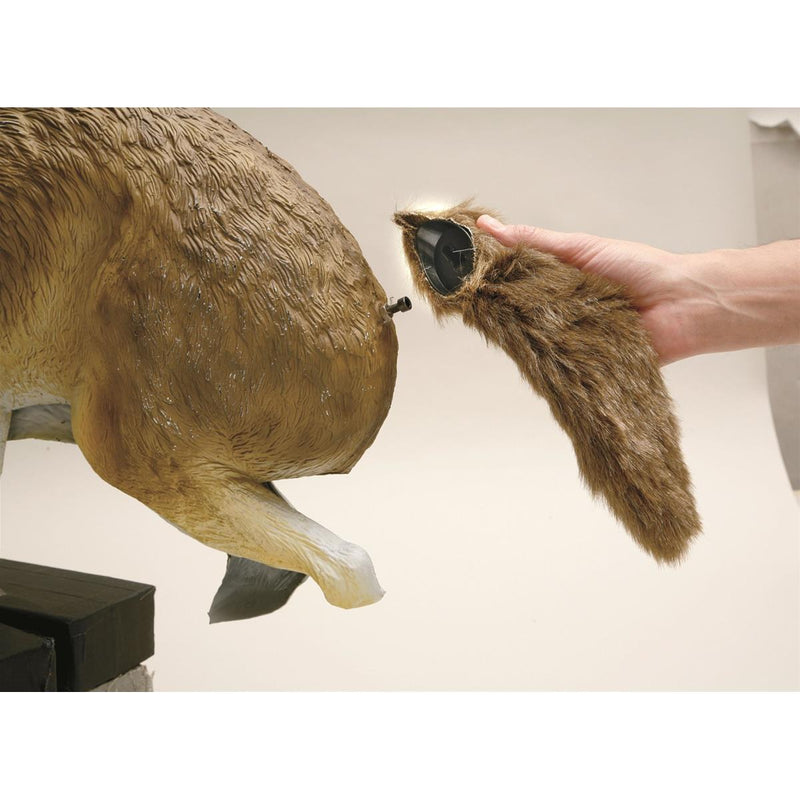 3-D Predator Coyote Decoy