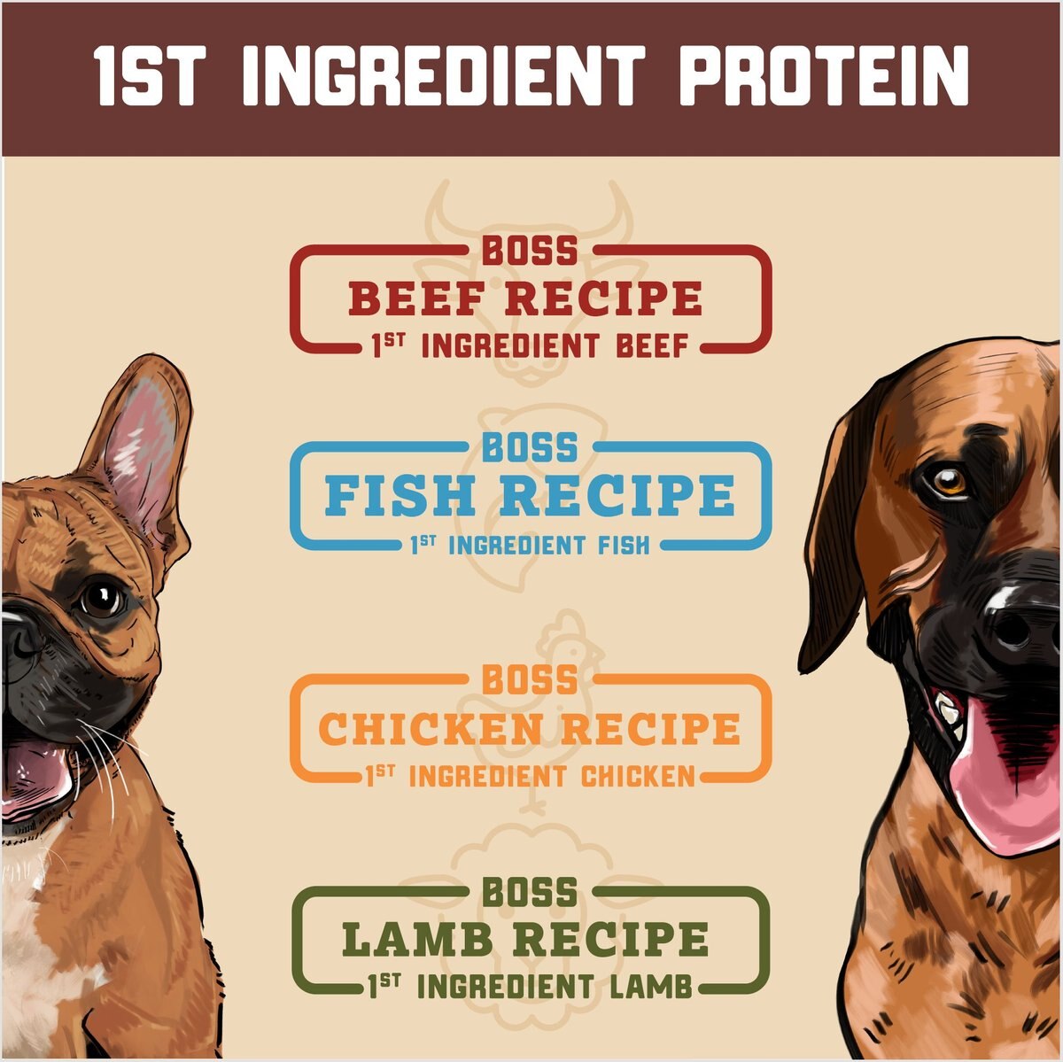 Boss Dog Fish Flavor Freeze Dried Dog Food， 12-oz pouch