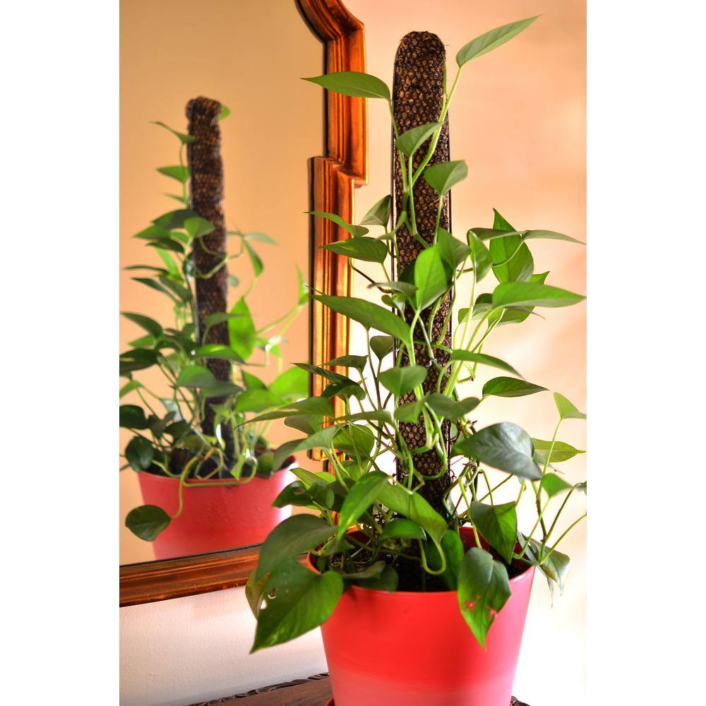 Mosser Lee 30 in. Totem Pole Plant Support KEW1020