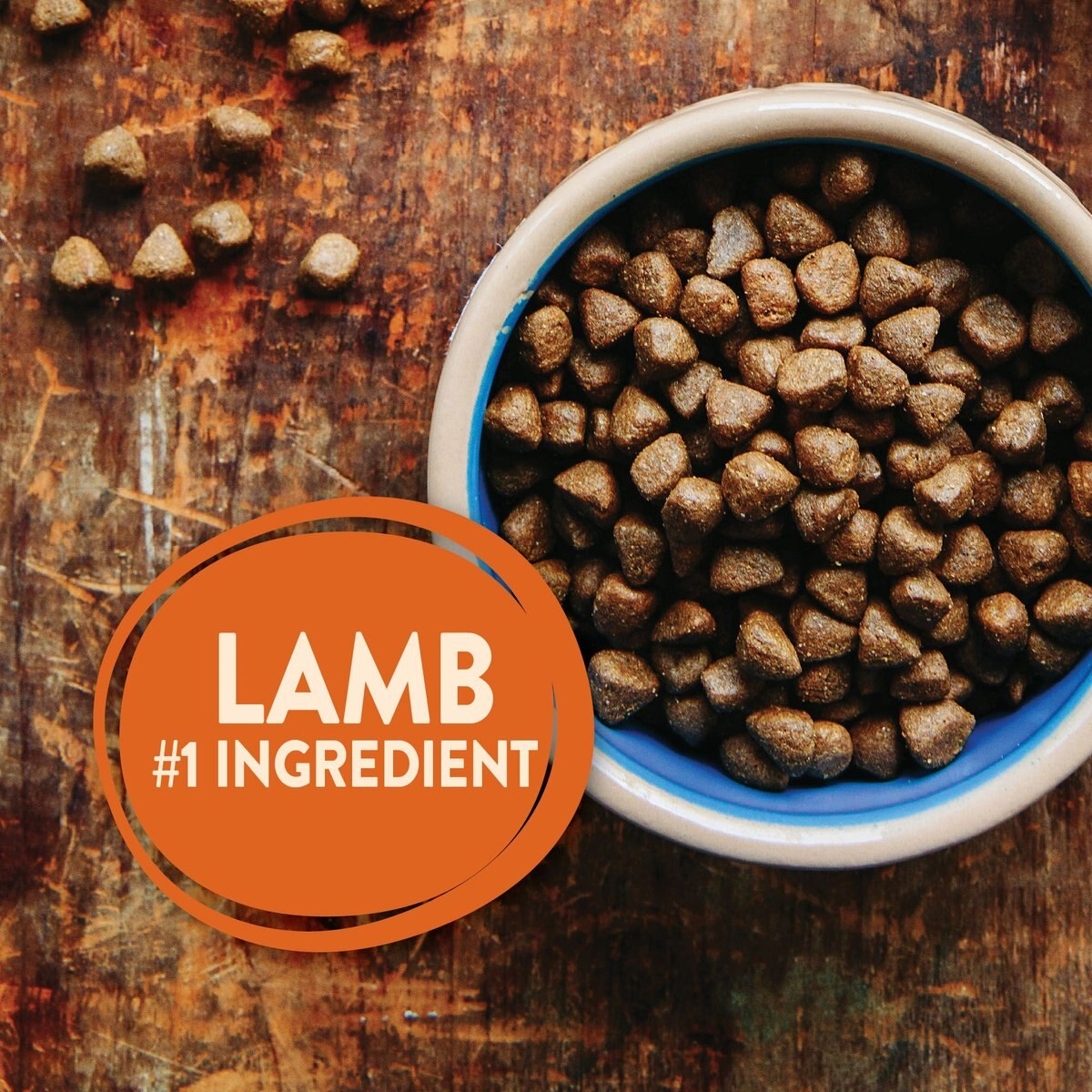 Wellness CORE Grain-Free Lamb Recipe Dry Dog Food