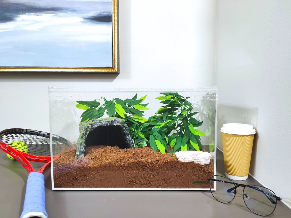 HerpCult Acrylic Clear-Top Reptile Habitat， 8.3-gal