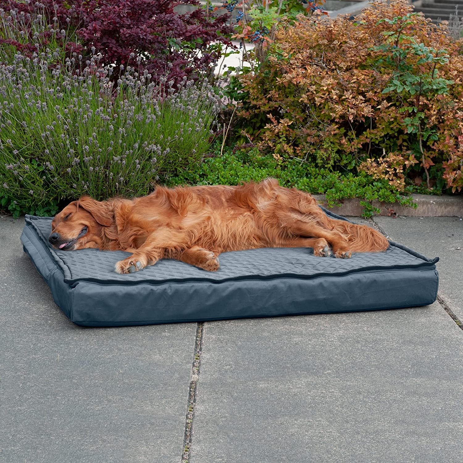 Furhaven XL Orthopedic Dog Bed Water-Resistant Indoor/Outdoor Quilt Top Convertible Mattress w/ Removable Washable Cover - Calm Blue， Jumbo (X-Large) Convertible Quilt Top (Calm Blue) Jumbo Orthopedic Foam