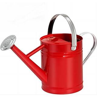 Cubilan 1 Gal. Watering Can for OutdoorIndoor Plants Galvanized Steel Watering Can with Stainless Steel Handles B09J163QF9