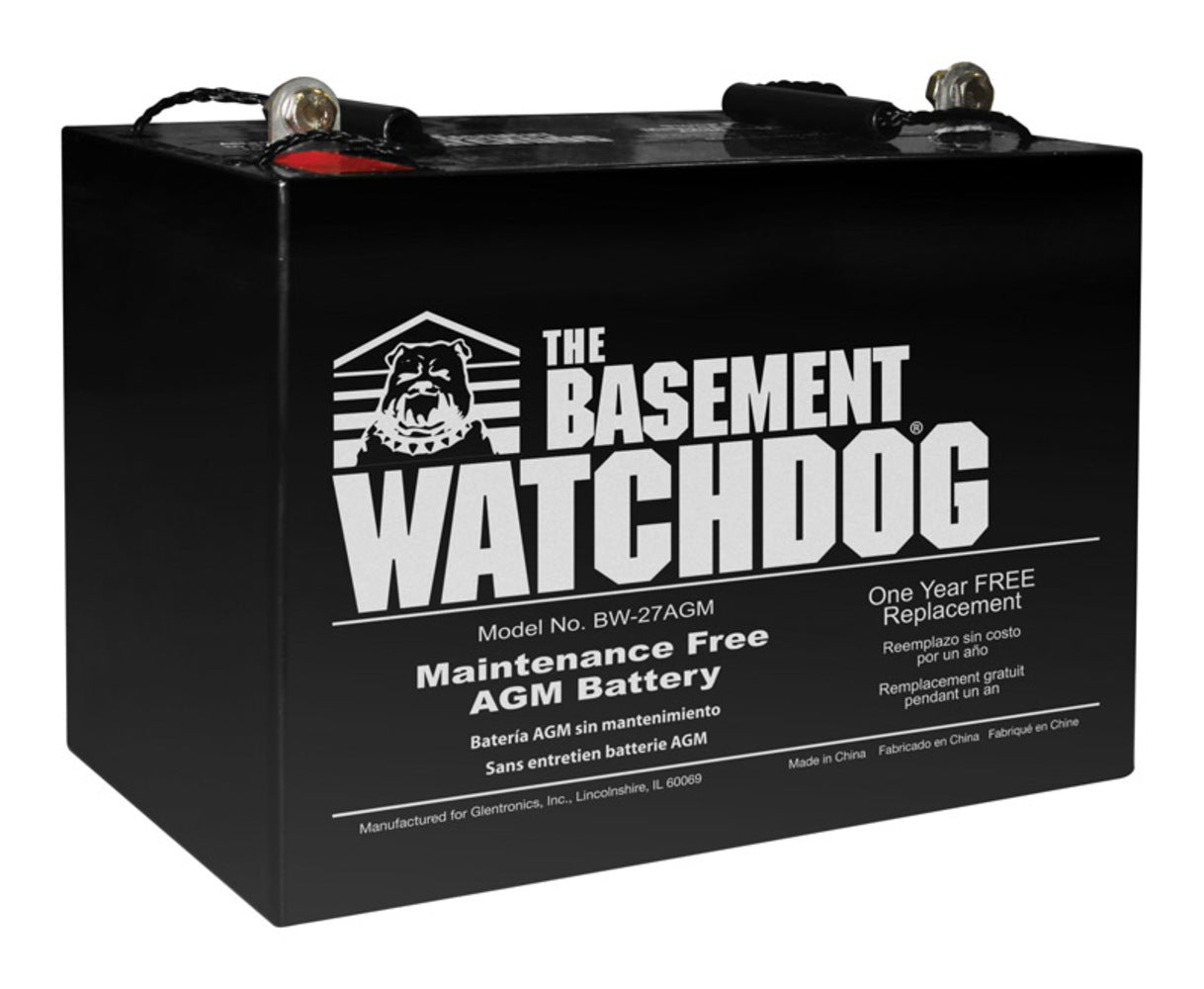 SUMP PUMP BATTERY 9