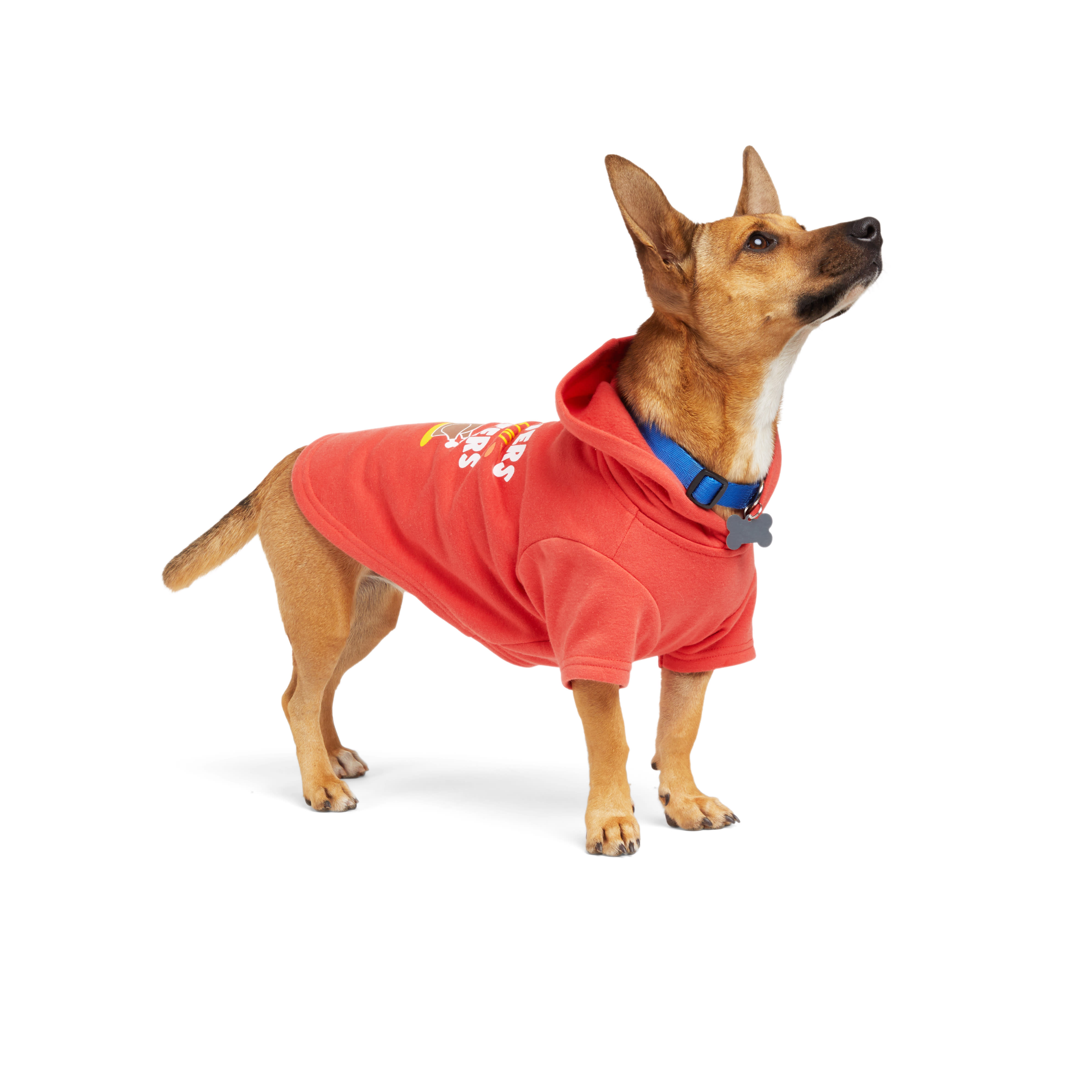 YOULY Leftovers Dog Hoodie， X-Small