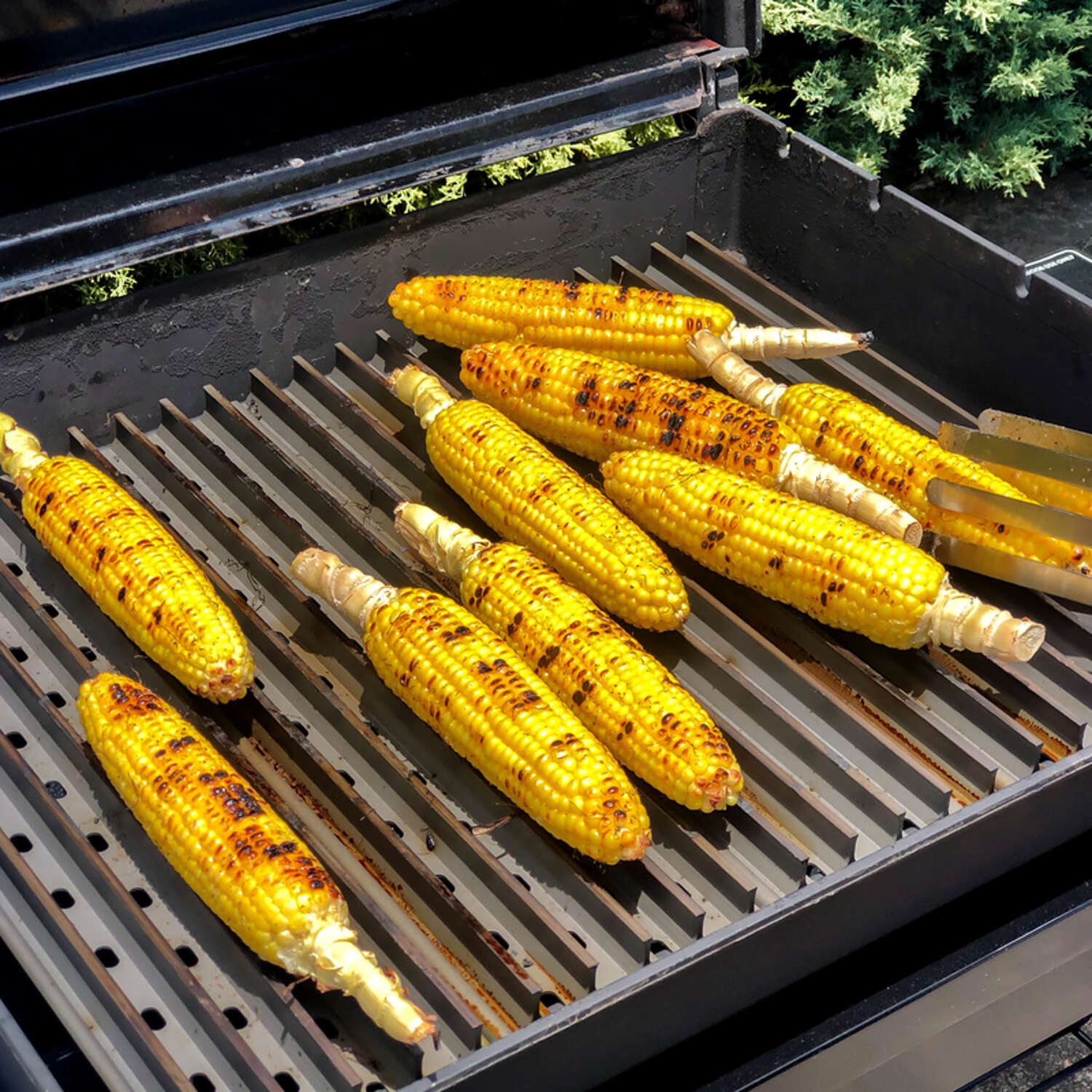 GrillGrate Replacement GrillGrate Set 17.38 in. L X 22.5 in. W
