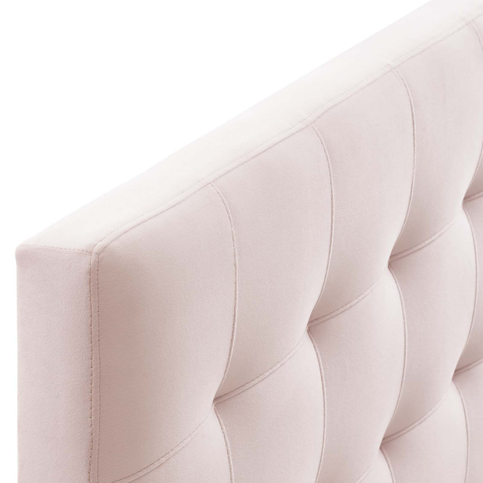 Pink Lily Biscuit Tufted Full Performance Velvet Headboard   Transitional   Headboards   by First of a Kind USA Inc  Houzz