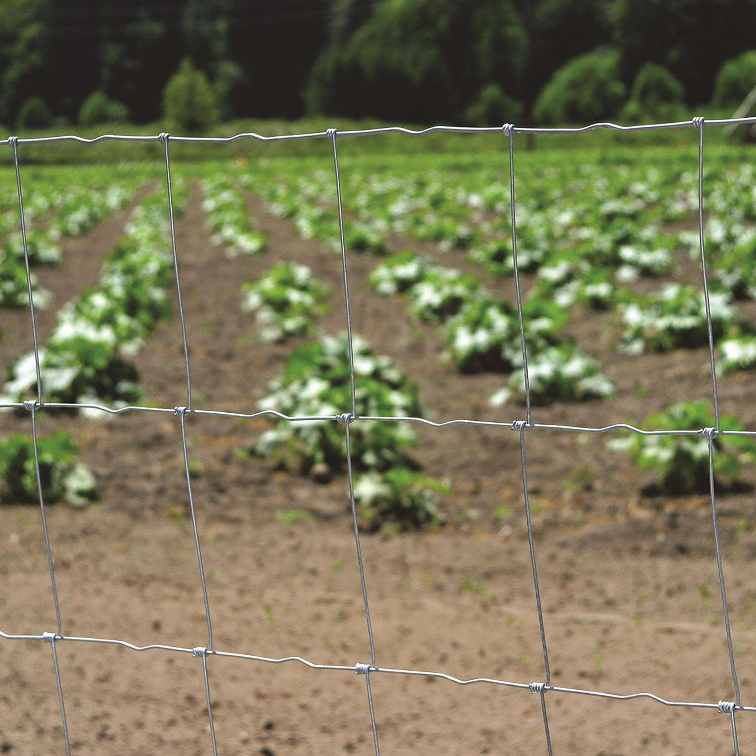 MAT Farmgard 47 in. H X 330 ft. L Galvanized Steel Field Fence Silver