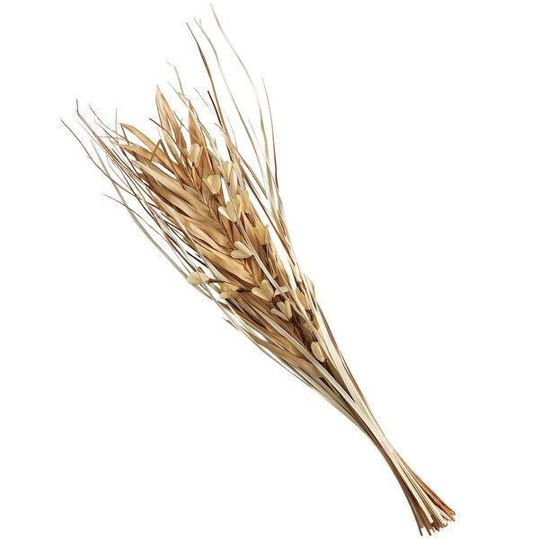 Beige or Light Brown Dried Plant Handmade Tall Floral Grass Bouquet Palm Leaf Natural Foliage