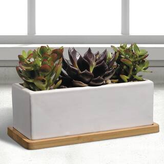 Vigoro 9 in. Nipp Medium White Ceramic Rectangle Planter (9 in. L x 8.5 in. W x 3.4 in. H) with Attached Tray HD1138-089