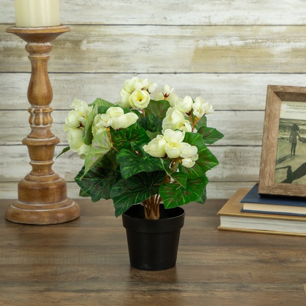 Cream Potted Silk Begonia Spring Artificial Floral Arrangement