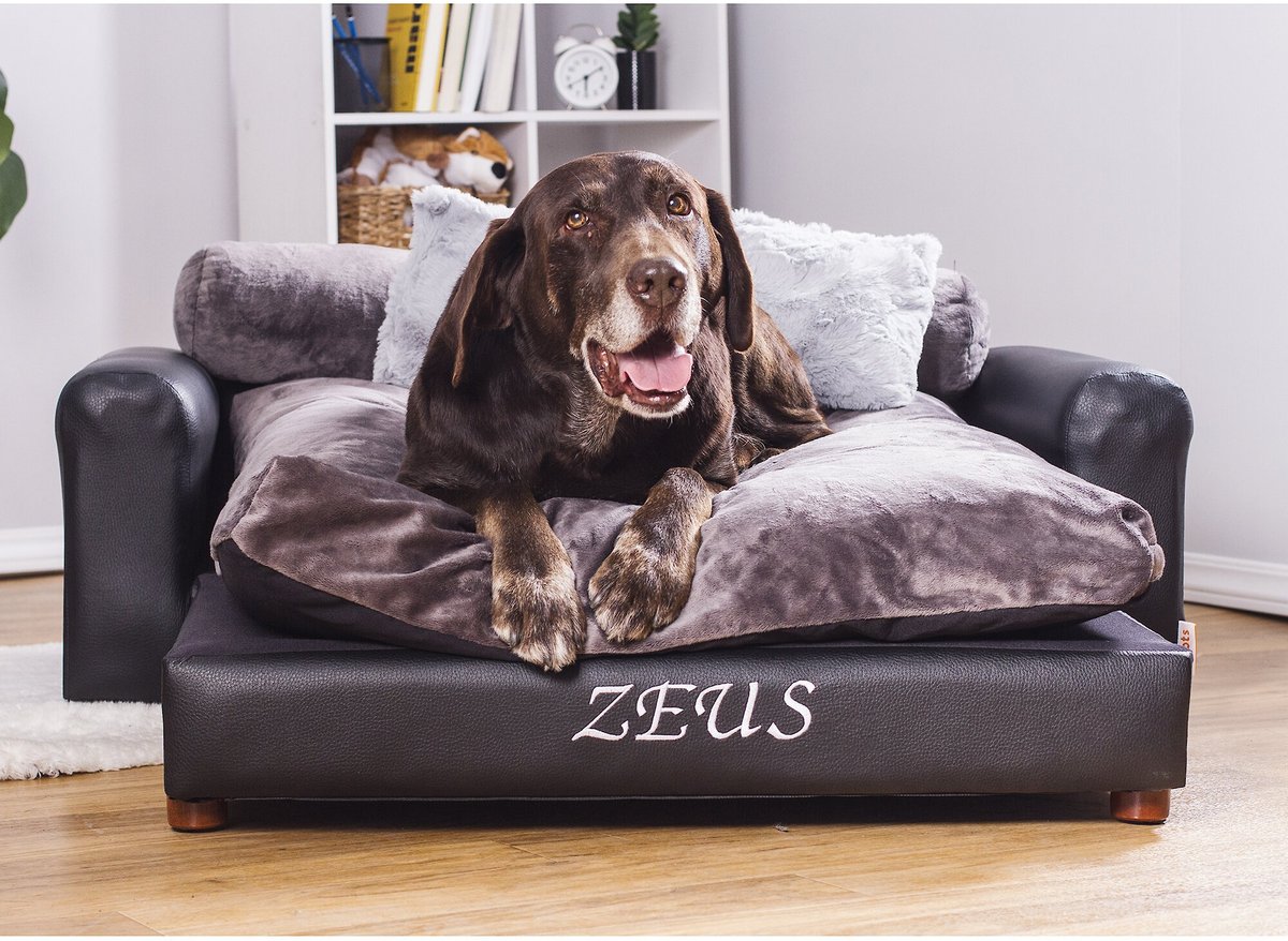 Moots Personalized Leatherette Sofa Cat and Dog Bed