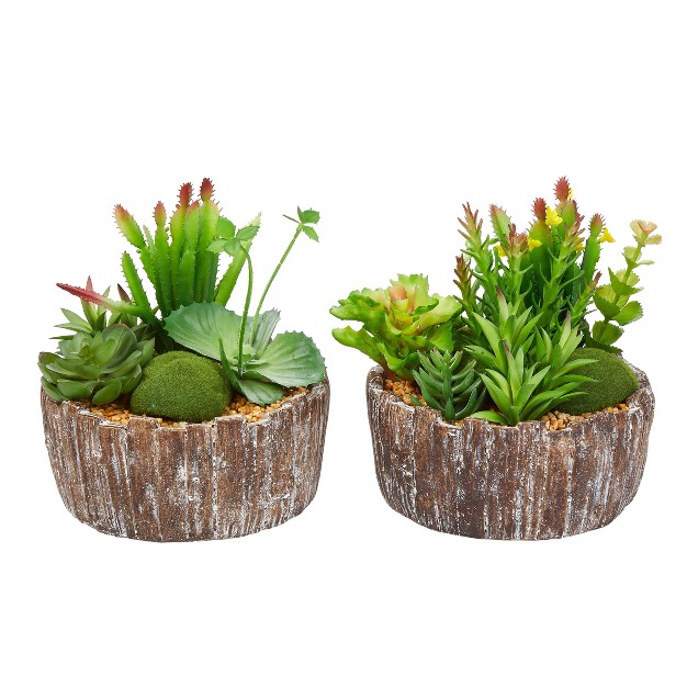 Nature Spring Set Of 2 Faux Succulent Arrangements