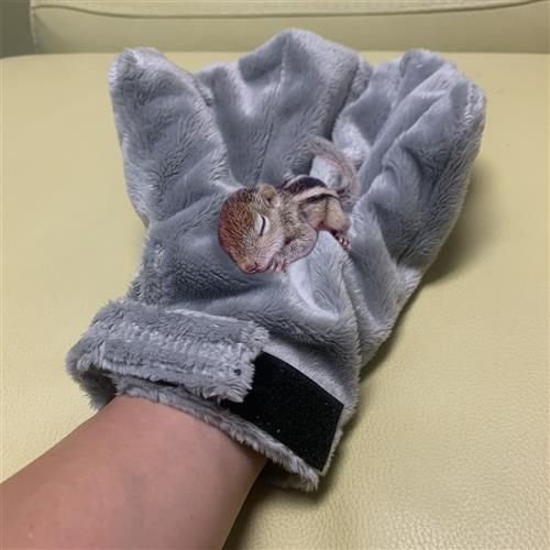 Exotic Nutrition Calming Small Pet Glove， Gray