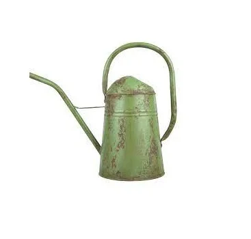 Metal Green floral flower Water Can Premium Quality Wholesale Luxury Can Best Selling Inexpensive Galvanized Water Cane