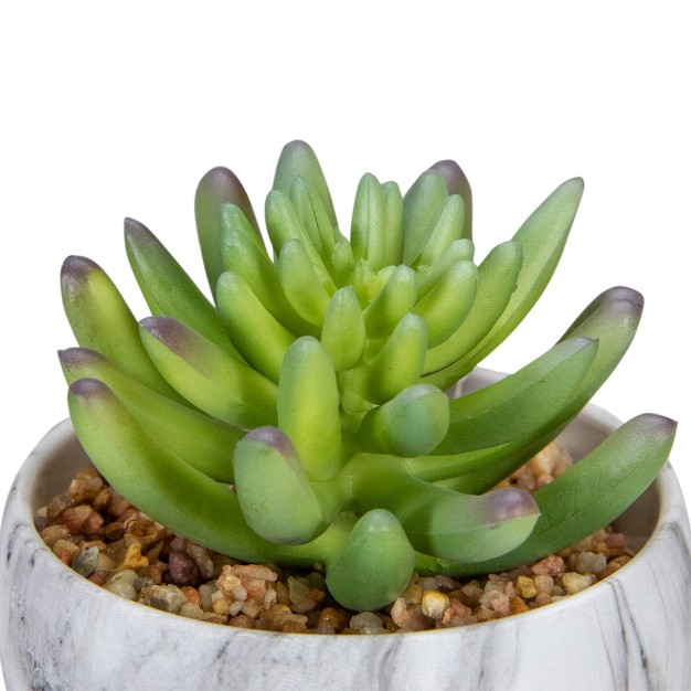 Green Artificial Succulent In Faux Marble Pot