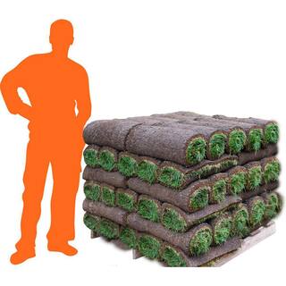 Harmony 500 sq. ft. Bermuda Sod (1-Pallet) HH500B1