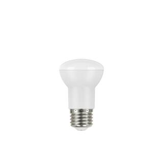 EcoSmart 100-Watt Equivalent R20 CEC Dimmable LED Light Bulb in Daylight 5000K (1-Bulb) A20R2050WT2001