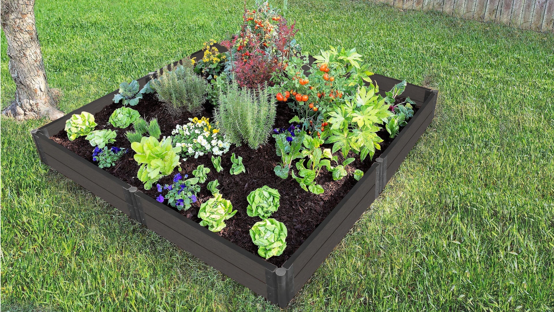 8' x 8' Raised Garden Bed