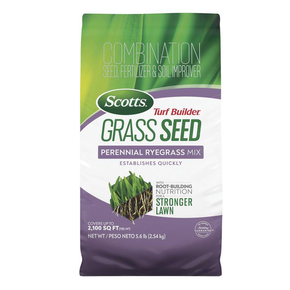 Scotts Turf Builder 5.6 lbs. Grass Seed Perennial Ryegrass Mix with Fertilizer and Soil Improver Establishes Quickly 18039