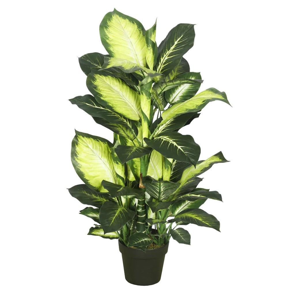 Artificial Plant : Dieffenbachia Green White with Pot