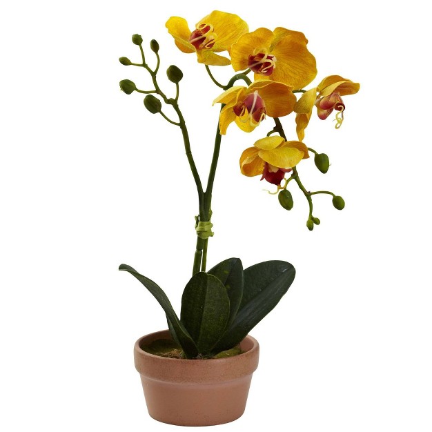 Nearly Natural 13 in Phalaenopsis Orchid With Clay Vase set Of 4