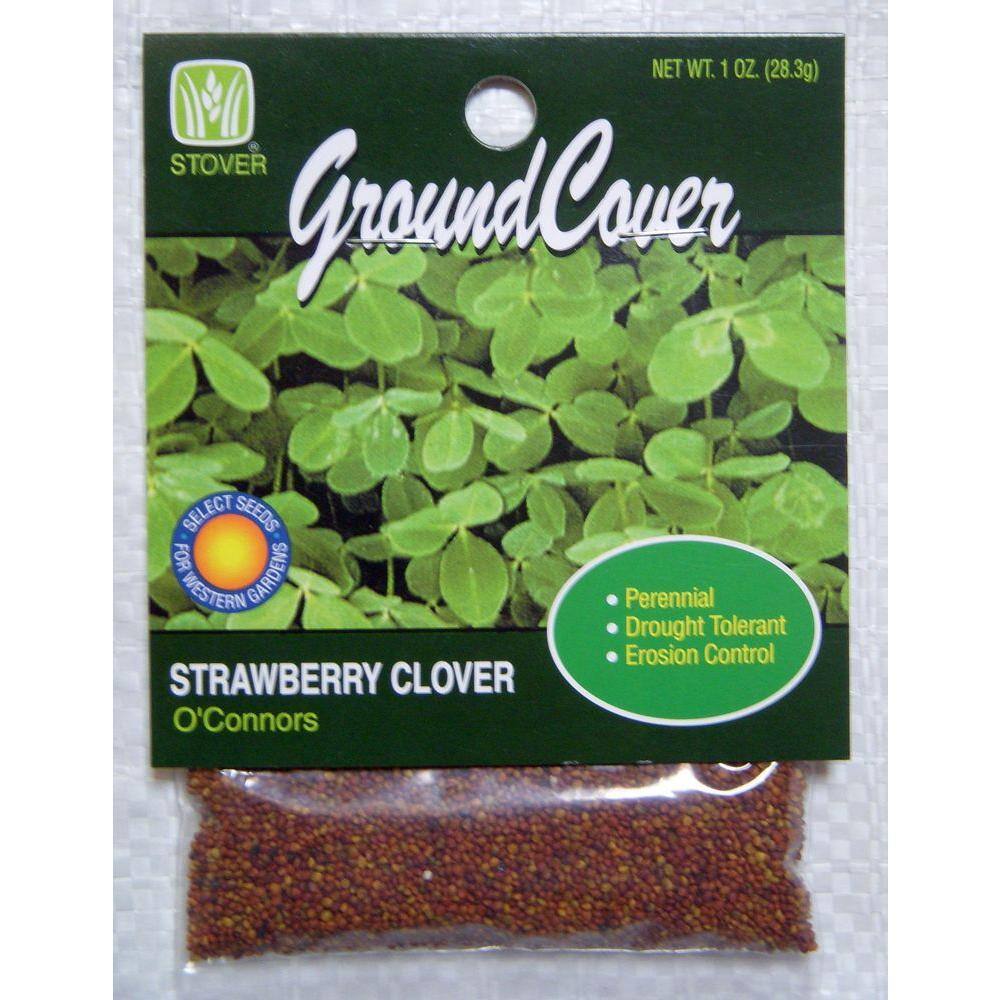 Oconnors Strawberry Clover 79021-6