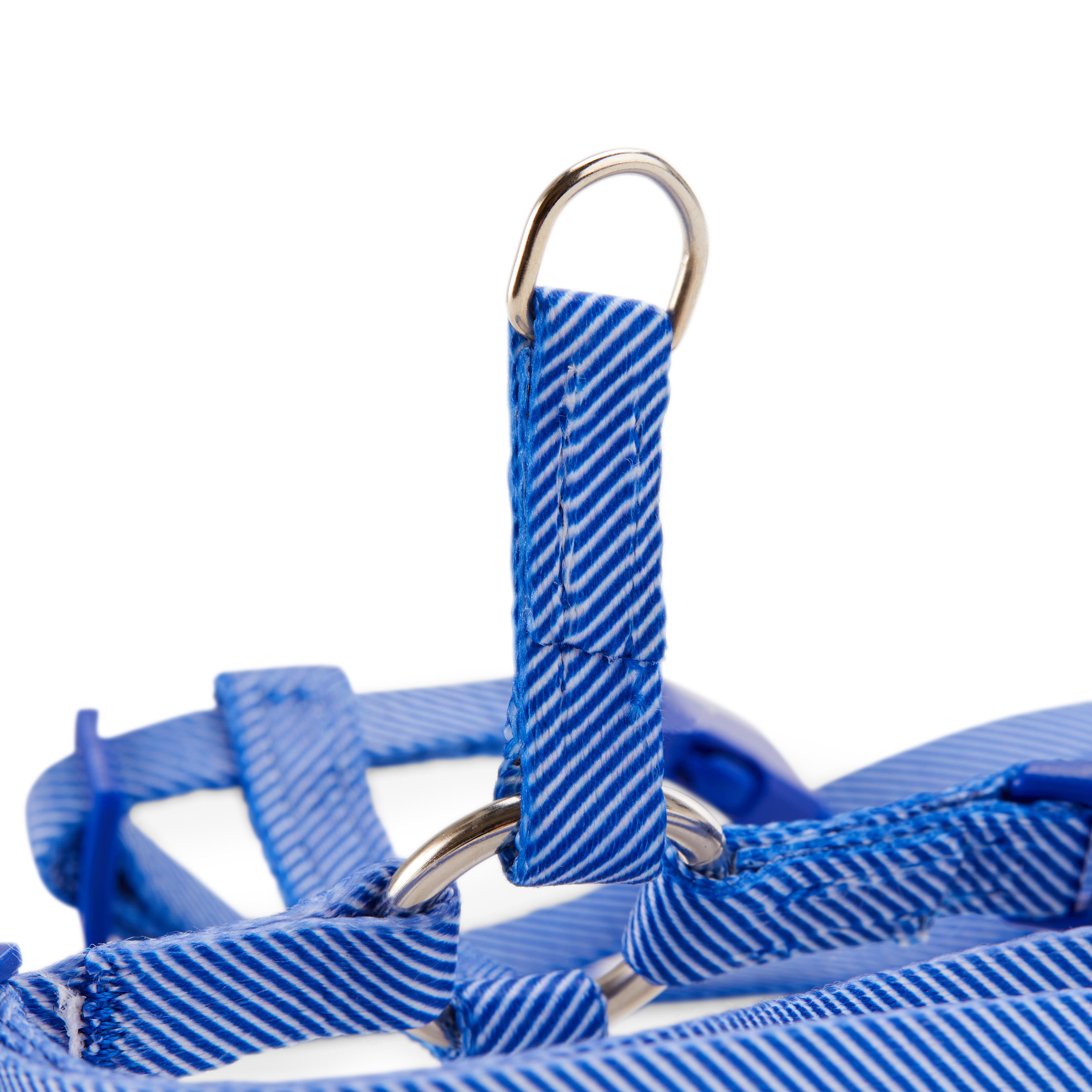 YOULY Blue Seersucker for Style Kitten Harness  Leash Set， Small