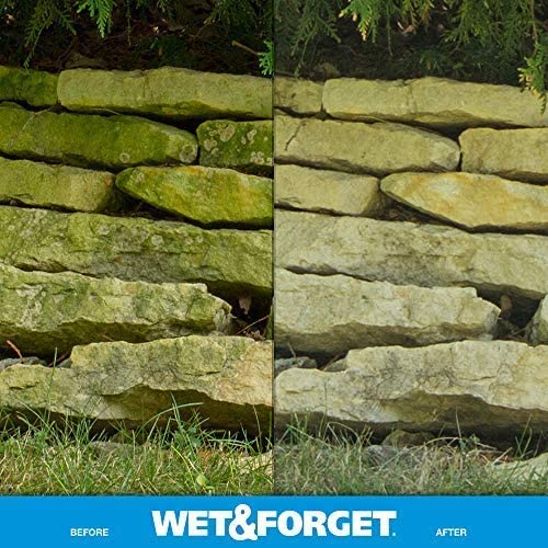 Wet and Forget 10587 1 Gallon Moss， Mold and Mildew Stain Remover