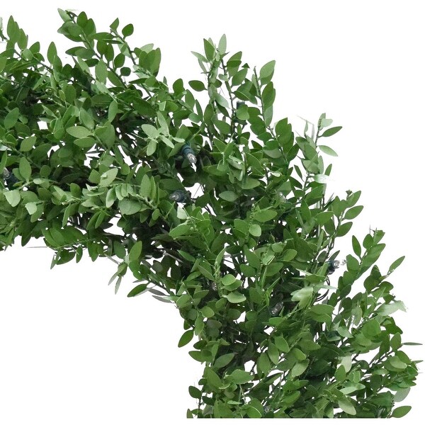 Fraser Hill Farm 24 Boxwood Green Christmas Décor Wreath with Clear LED Lights