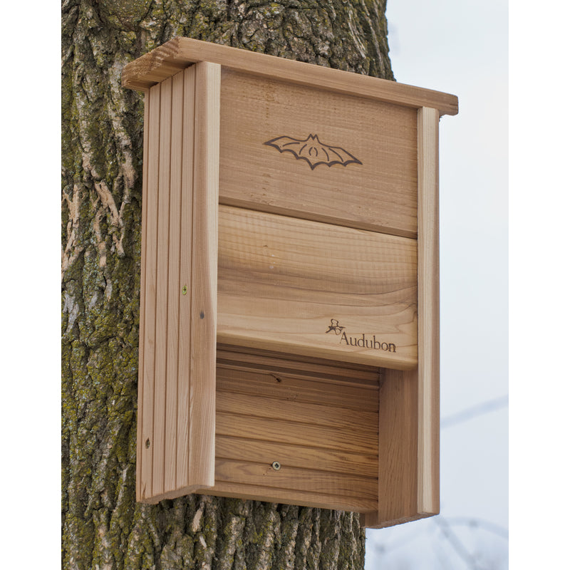 BAT HOUSE CEDAR 16