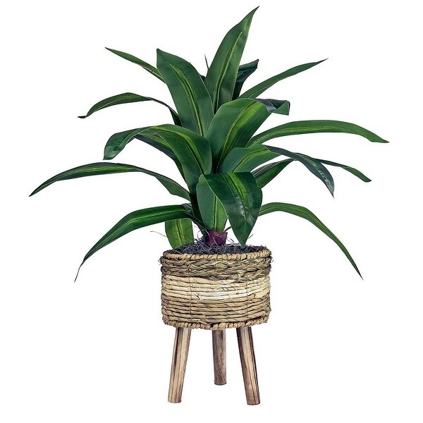 24inch Artificial Dracaena Plant in TriColor Basket Stand