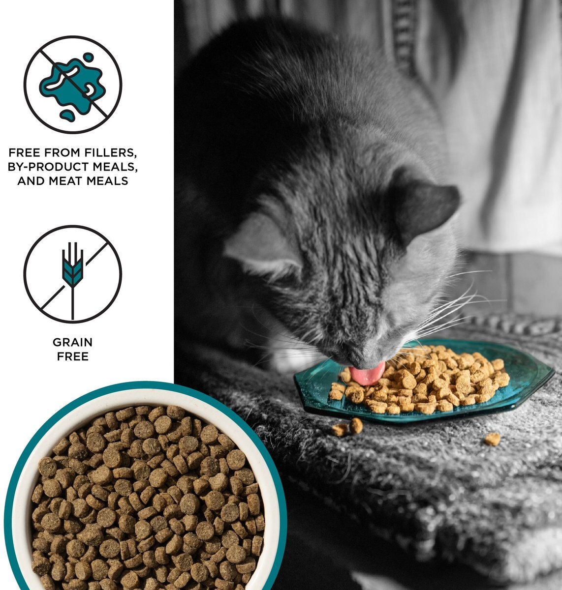 BIXBI Liberty Indoor Health Chicken and Salmon Recipe Grain-Free Dry Cat Food