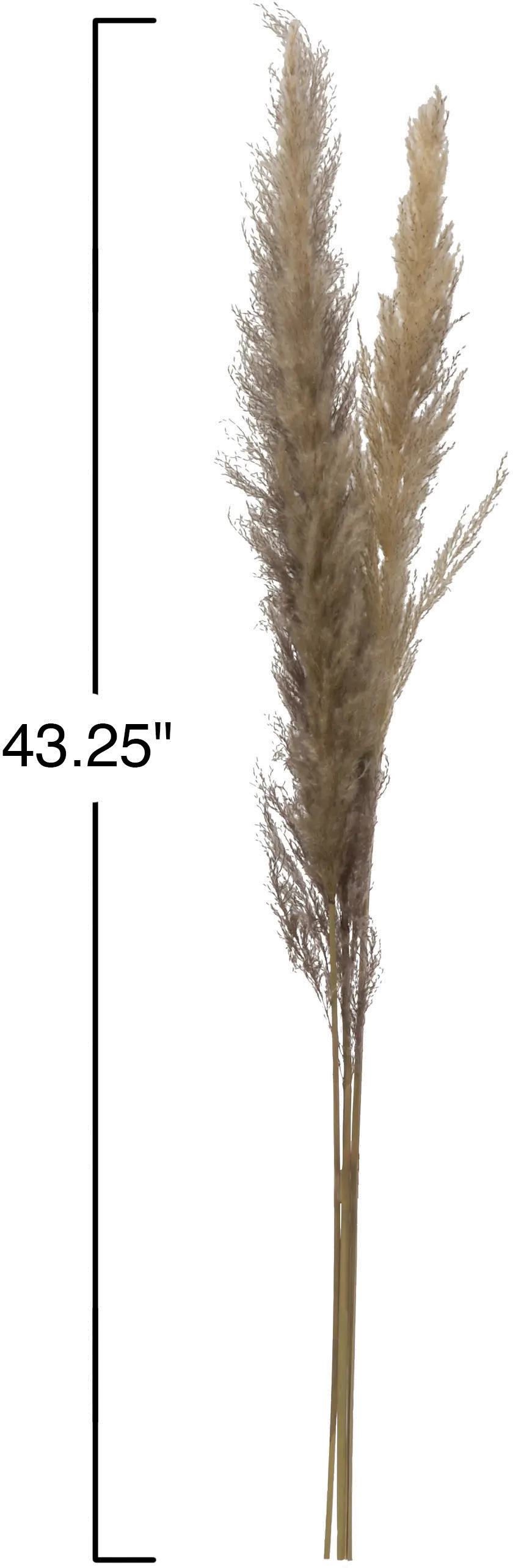 43 Inch Dried Brown Faux Pampas Grass Bunch