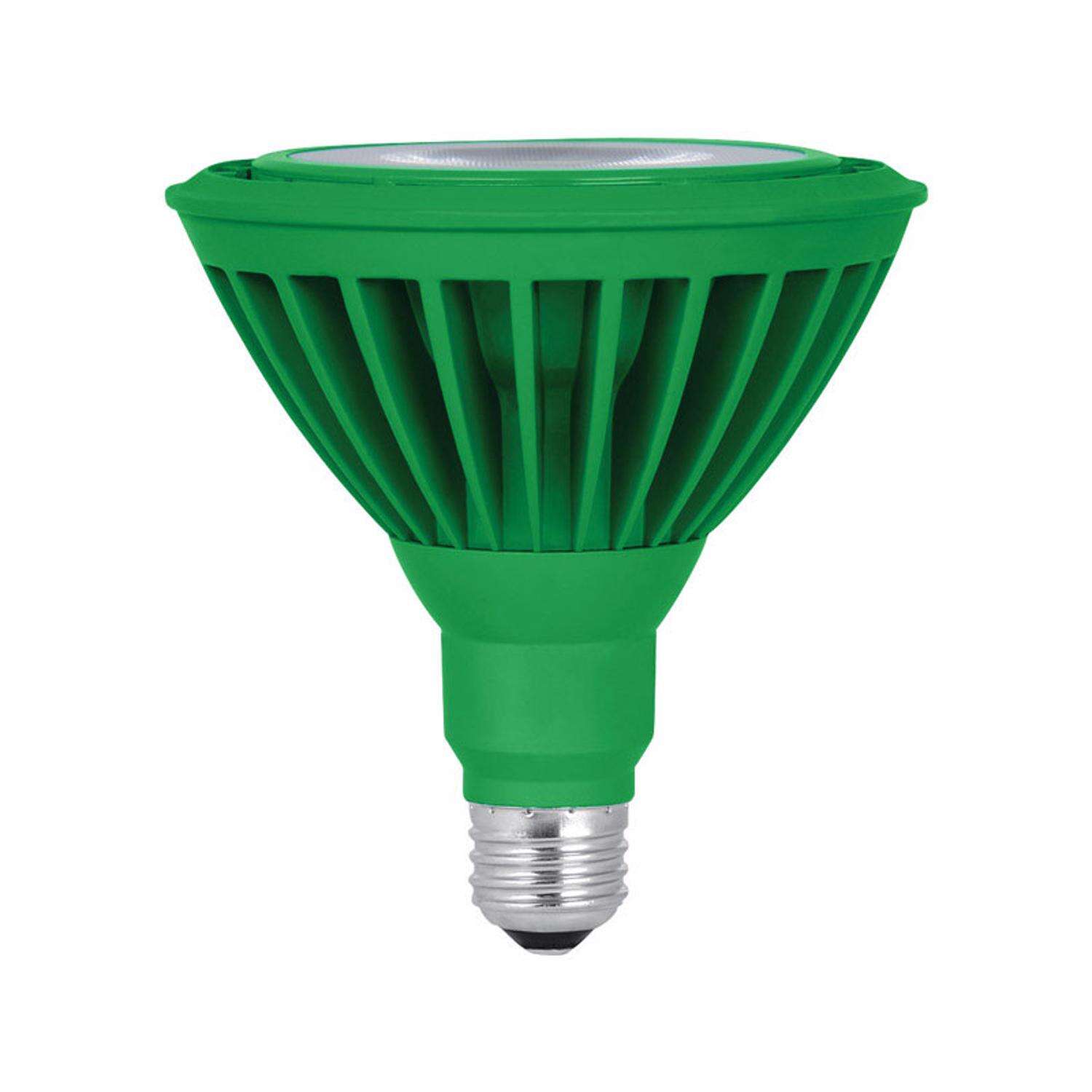 Feit PAR38 E26 (Medium) LED Bulb Green 120 Watt Equivalence 1 pk