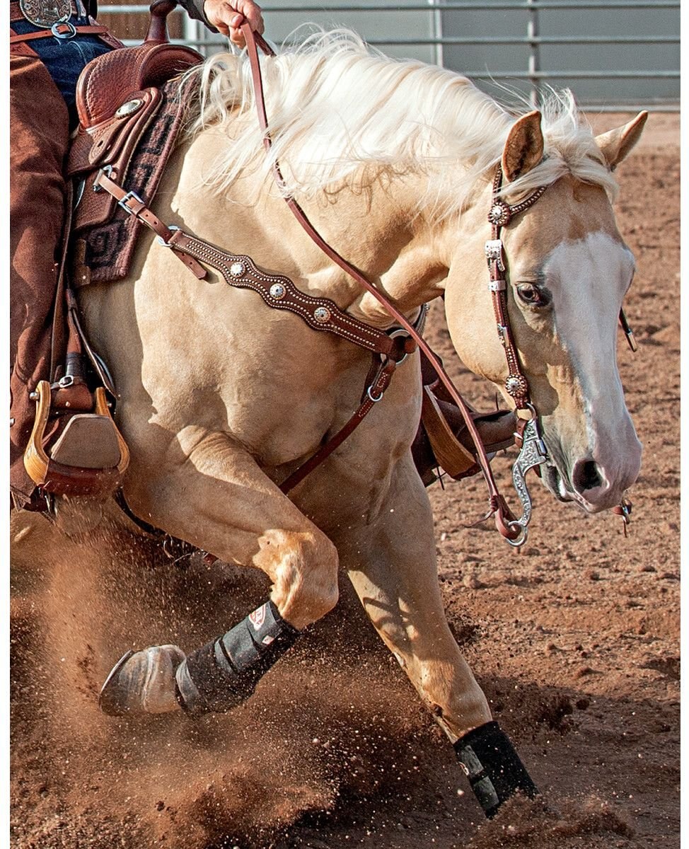 Weaver Leather Stacy Westfall Showtime Sliding Ear Horse Headstall