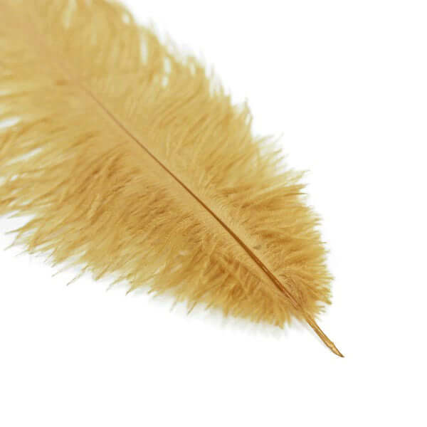 12 Pack Gold Natural Plume Real Ostrich Feathers, DIY Centerpiece Fillers 13