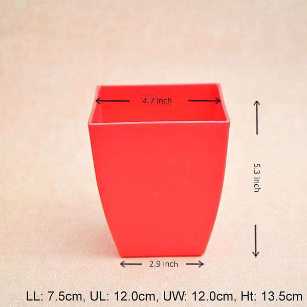 4.7 inch (12 cm) Chatura No. 12 Square Plastic Planter (Red) (set of 6)